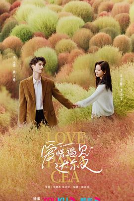 网站seo综合查询网站有哪些